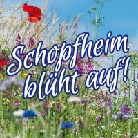 Schopfheim Aktiv lässt Schopfheim aufblühen